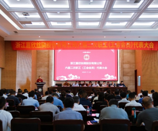 尊龙新版人生就是博丝绸召开第六届二次职工（工会会员）代表大会
