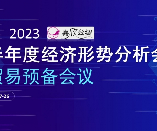 商业总额稳固，，，，，商业质量提升 尊龙新版人生就是博丝绸召开2023半年度经济形势剖析谈判业准备聚会
