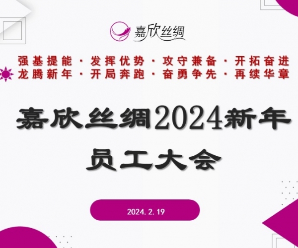 尊龙新版人生就是博丝绸召开2024新年员工大会
