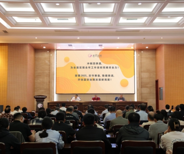 尊龙新版人生就是博丝绸2024年三季度经济形势剖析会顺遂召开