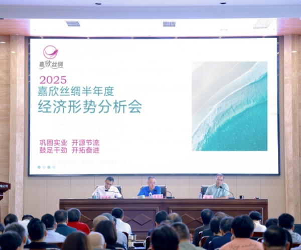 尊龙新版人生就是博丝绸2025半年度经济形势剖析会顺遂召开