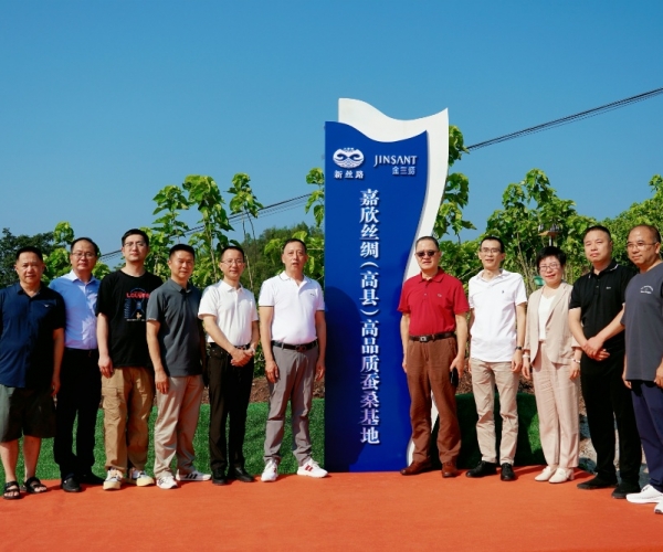 尊龙新版人生就是博丝绸（高县）高品质蚕；；；；卣浇遗疲